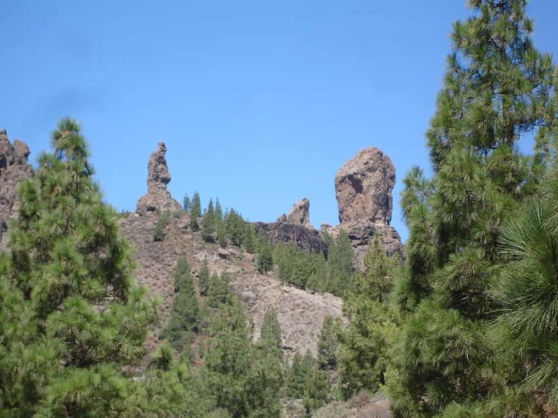 From Palmas: Pico de las Nieves & Roque Nublo Full-Day Trip - Authentic Experiences and Insights from Past Travelers