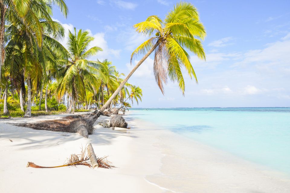From Panama City: 4 San Blas Islands Day Trip With Lunch - Important Information