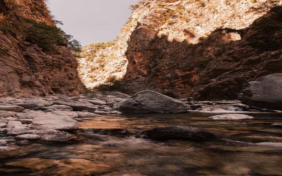 From Panormo or Lavris: Samaria Gorge Hike with Guide - The Sum Up