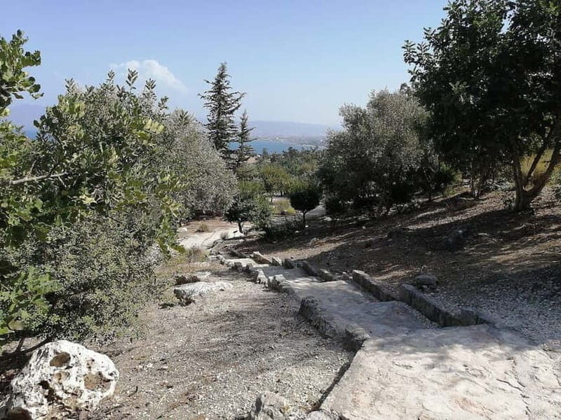 From Paphos: Baths of Aphrodite, Latchi & Blue Lagoon Cruise - Review Insights