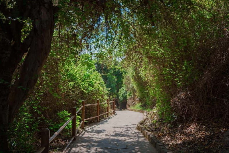 From Paphos: Blue Lagoon and Baths of Aphrodite Day Trip - What To Expect on This Day Trip