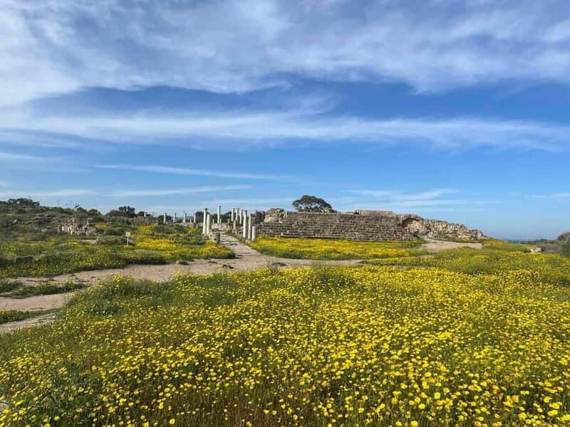 From Paphos: Famagusta, Salamis, and Varosha Walking Tour - Key Points
