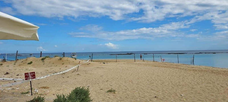 From Paphos: Famagusta, Salamis, and Varosha Walking Tour - A Full Breakdown of the Tour Experience