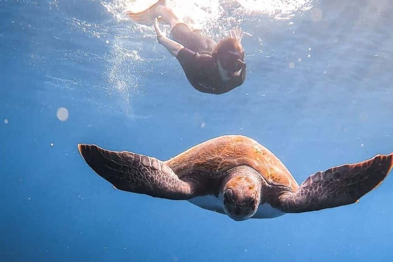 FROM PAPHOS: Snorkeling at Moulia Rocks (boat) - FAQ