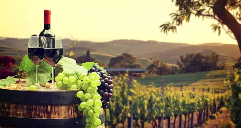 From Paphos: Taste of Cyprus (Private) - Authentic Experiences That Resonate