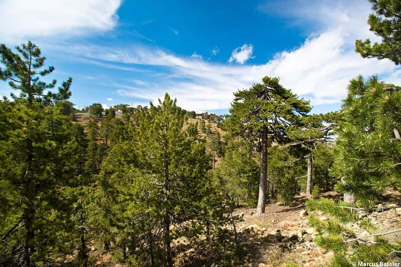 From Paphos: Troodos Kykkos Jeep Safari - Mountain Peaks and Natural Wonders