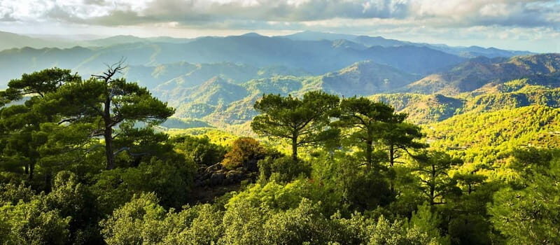 From Paphos: Troodos Kykkos Jeep Safari - Authentic Experiences and Traveler Insights