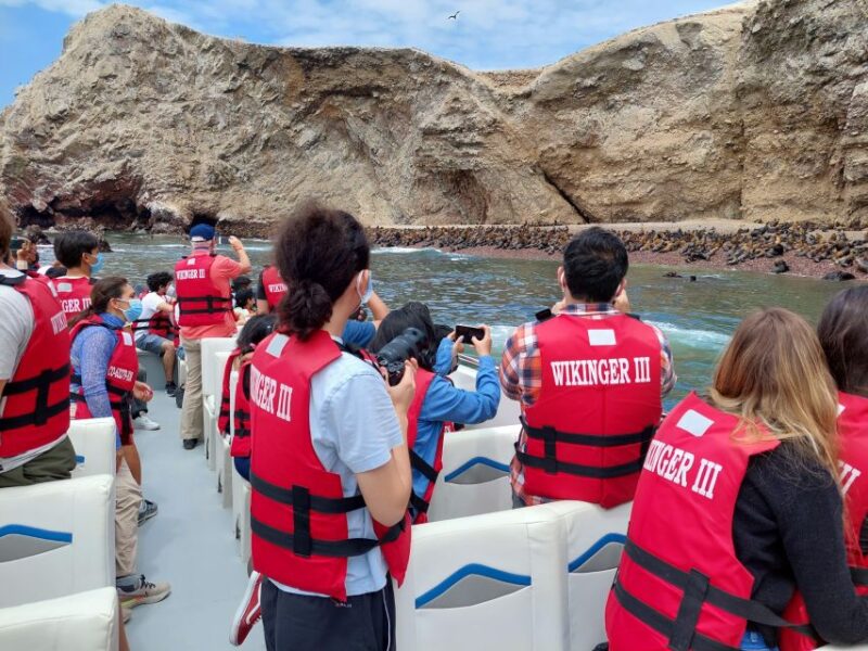 From Paracas: Ballestas Island Marine Wildlife Watching - Inclusions in the Tour