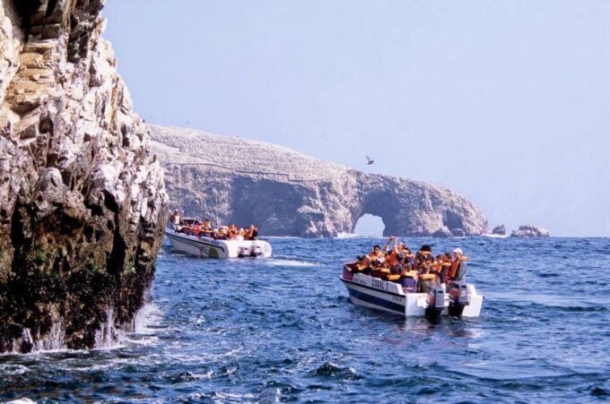 From Paracas: Ballestas Islands Guided Tour - Tips for a Great Experience