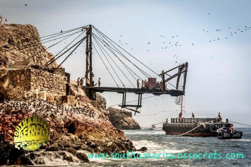 From Paracas: Ballestas Islands tour all Inclusive - Key Points