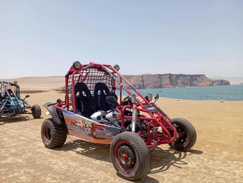 From Paracas || Buggy Ride in the Southern Paracas Desert - Booking Your Adventure
