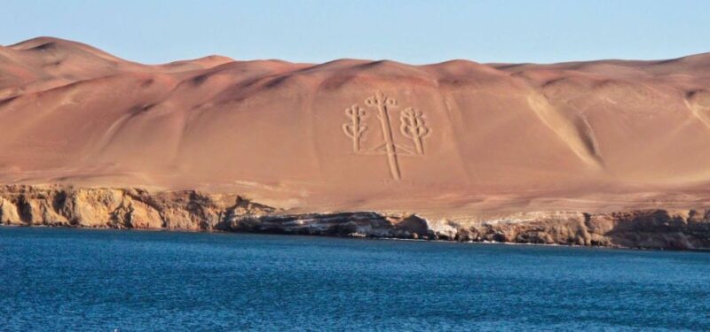 From Paracas || Excursion to the Ballestas Islands ||3 Hours - Key Points