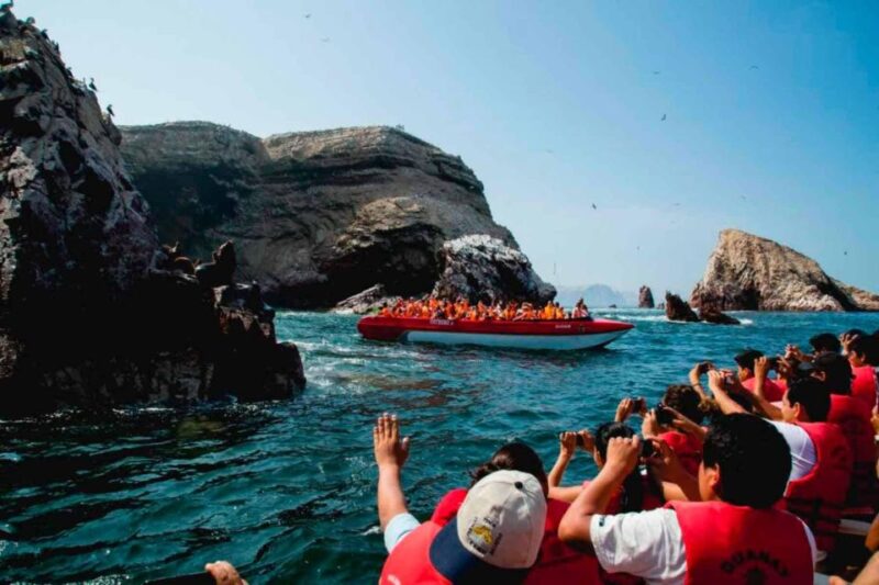 From Paracas || Excursion to the Ballestas Islands ||3 Hours - Customer Feedback