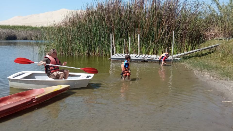 From Paracas: Mini Buggy Tour & Sandboarding at Oasis - Experience Highlights