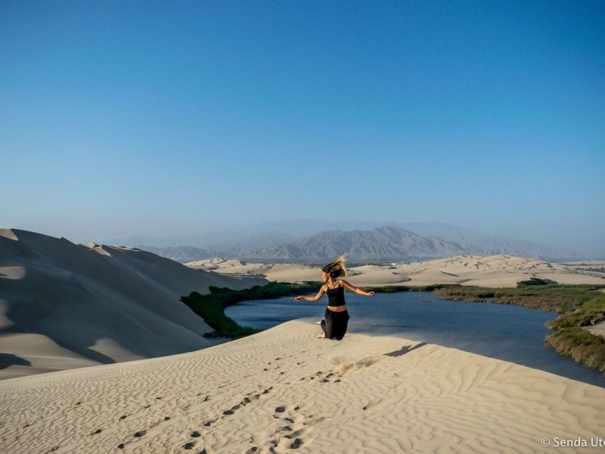 From Paracas: Mini Buggy Tour & Sandboarding at Oasis - Customer Reviews