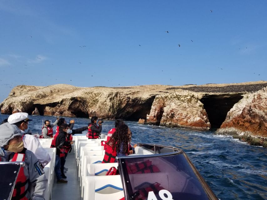 From Paracas or Pisco: Ballestas Islands Private Boat Trip - Key Points
