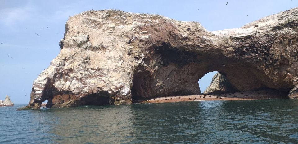 From Paracas or Pisco: Ballestas Islands Private Boat Trip - Inclusions