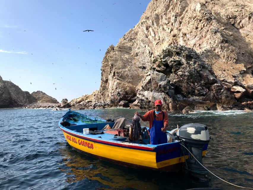 From Paracas or Pisco: Ballestas Islands Private Boat Trip - Duration and Timing