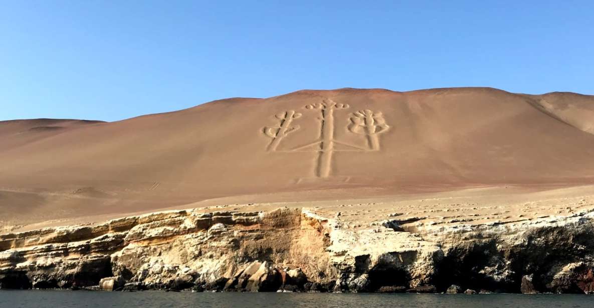 From Paracas or Pisco: Ballestas Islands Private Boat Trip - Marine and Birdlife