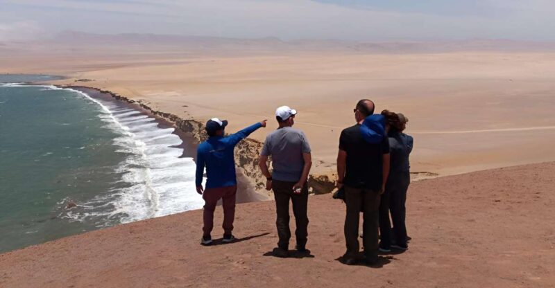From Paracas: Private Tours Paracas National Reserve - Wildlife and Ecosystem Insights