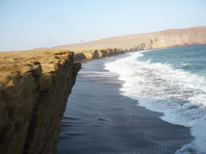 From Paracas: Private Tours Paracas National Reserve - Frequently Asked Questions
