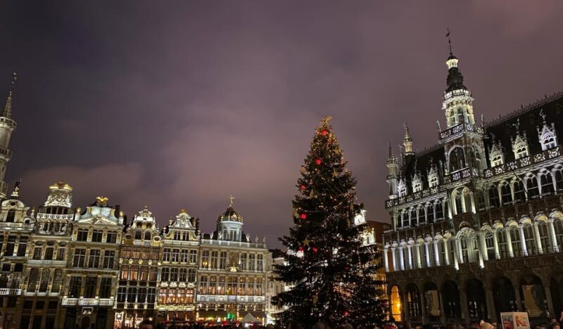 From Paris: Brussels Christmas Market, City Tour, ChocoStory - Practical Tips for Participants