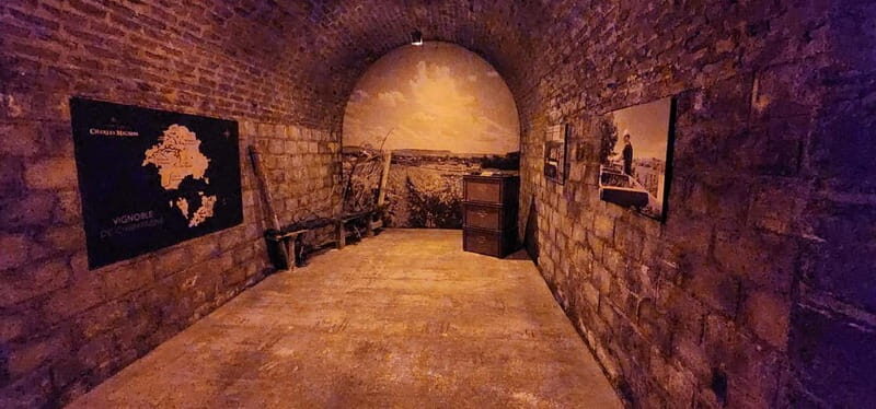 From Paris: Champagne Cellars and Vineyards Tour and Tasting - What Makes This Tour Valuable?