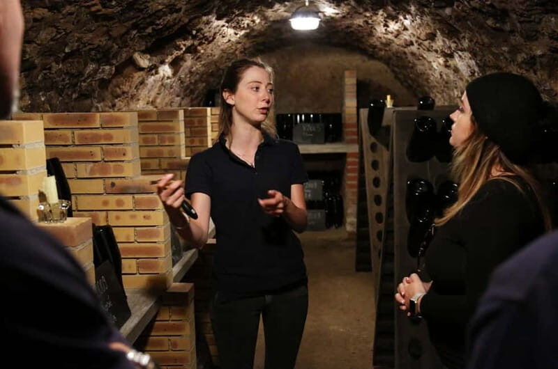 From Paris: Champagne Day Trip with 7 Tastings and Lunch - An In-Depth Look at the Champagne Day Trip