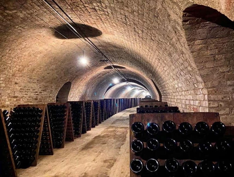 From Paris: Champagne Day Trip with 7 Tastings and Lunch - Who Is This Tour Best For?