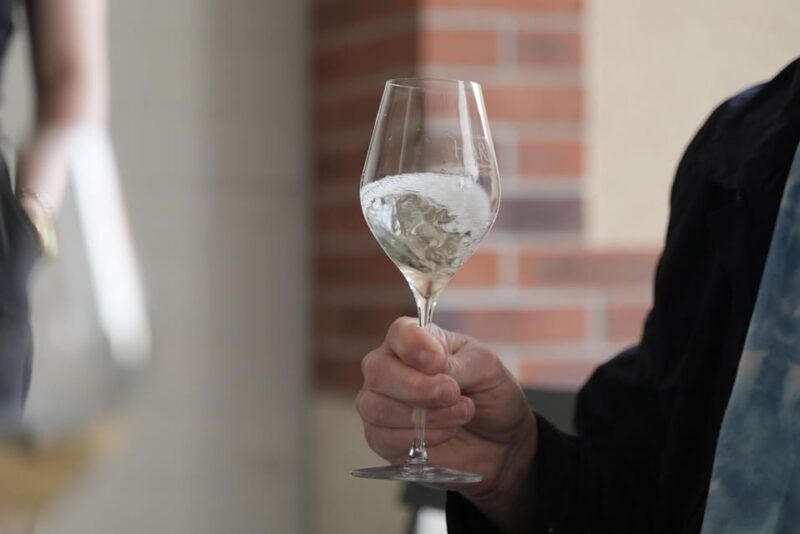 From Paris: Champagne Day Trip With 7 Tastings & Lunch - Champagne House Visits and Tastings