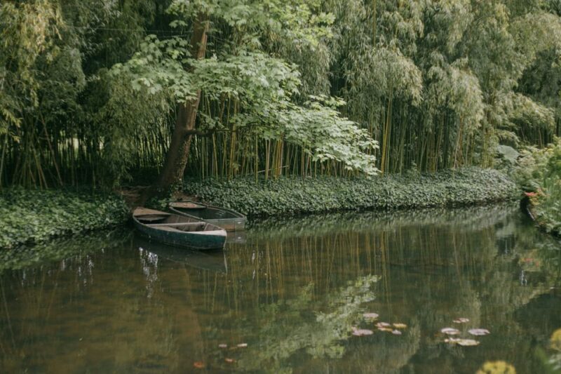 From Paris: Half Day Giverny Monets Gardens Tour - Key Points