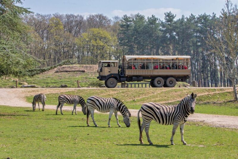 From Paris: Thoiry Park Safari and Castle Tour - Highlights of the Zoo Experience