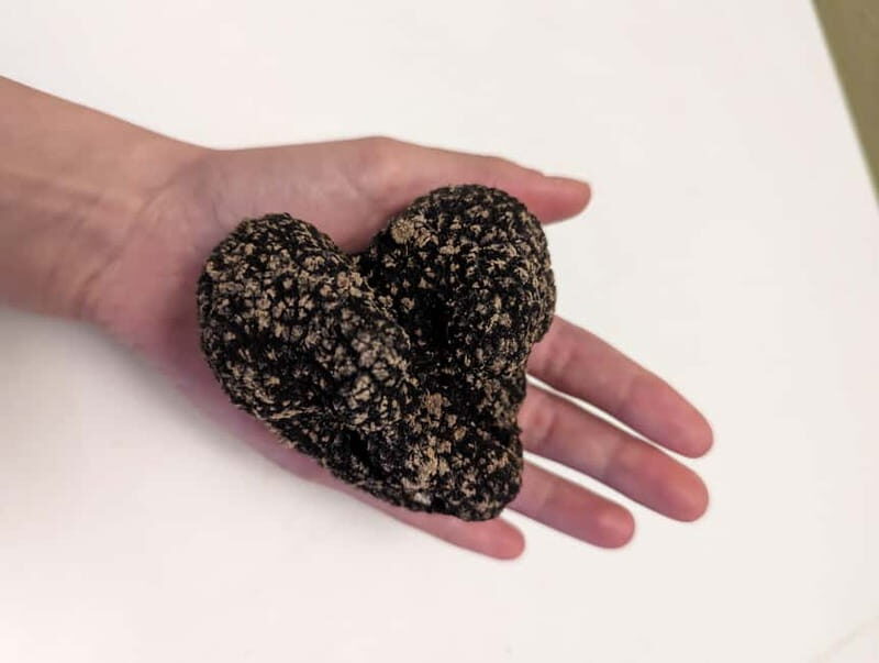 From Parma/Cinque Terre: Truffle Hunting Experience & Lunch - Who Will Love This Experience?