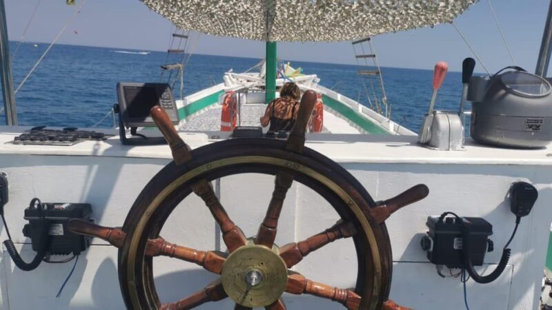 FROM PAROS: ANTIPAROS DESPOTIKO ODYSSEIA BOAT DAILY CRUISES - The Basics: What You Need to Know
