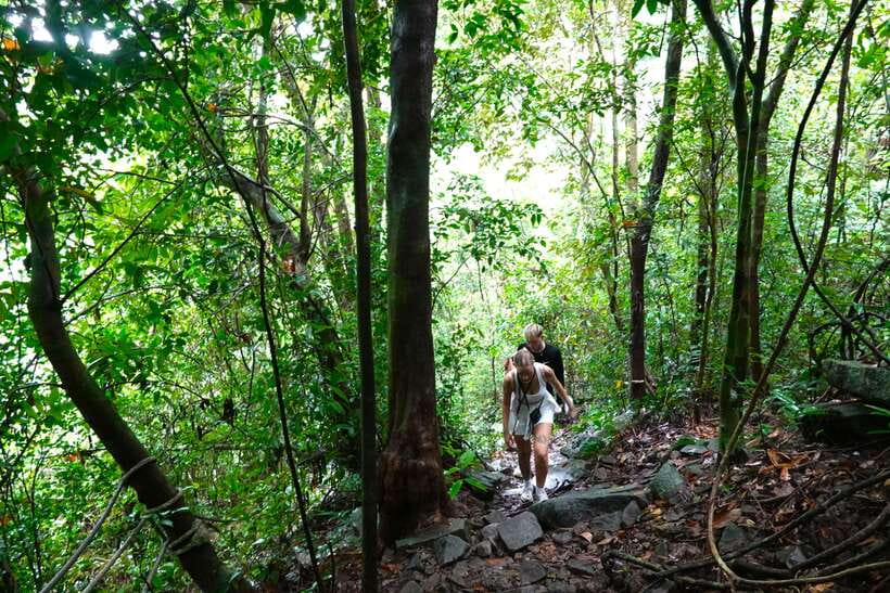 From Pattaya: Private Rayong Adventure Hike and Kayak Trip - Trip Overview and Pricing