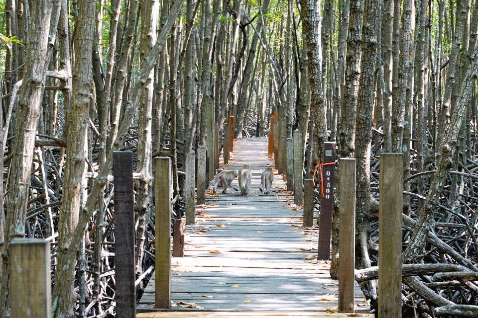 From Pattaya: Private Rayong Adventure Hike and Kayak Trip - Inclusions and Requirements
