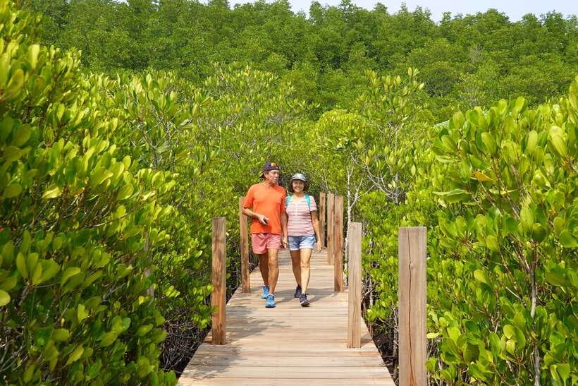 From Pattaya: Private Rayong Adventure Hike and Kayak Trip - Exploring Khao Chamao-Khao Wong National Park