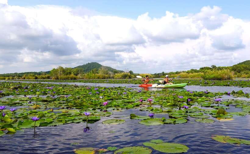 From Pattaya: Private Rayong Adventure Hike and Kayak Trip - Kayaking in the Rayong Botanical Garden