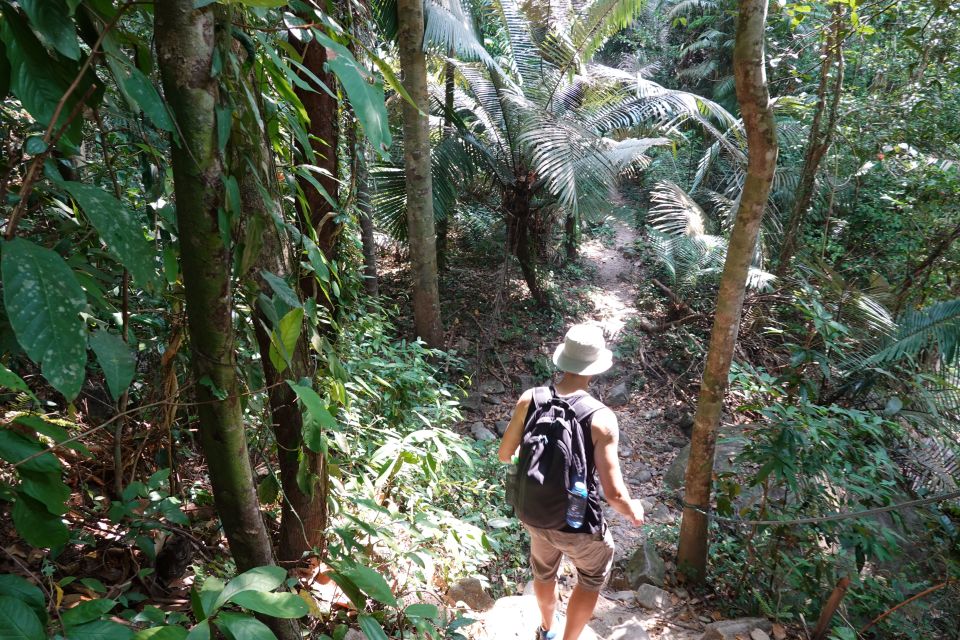 From Pattaya: Private Rayong Adventure Hike and Kayak Trip - Kayaking in Samet Forest