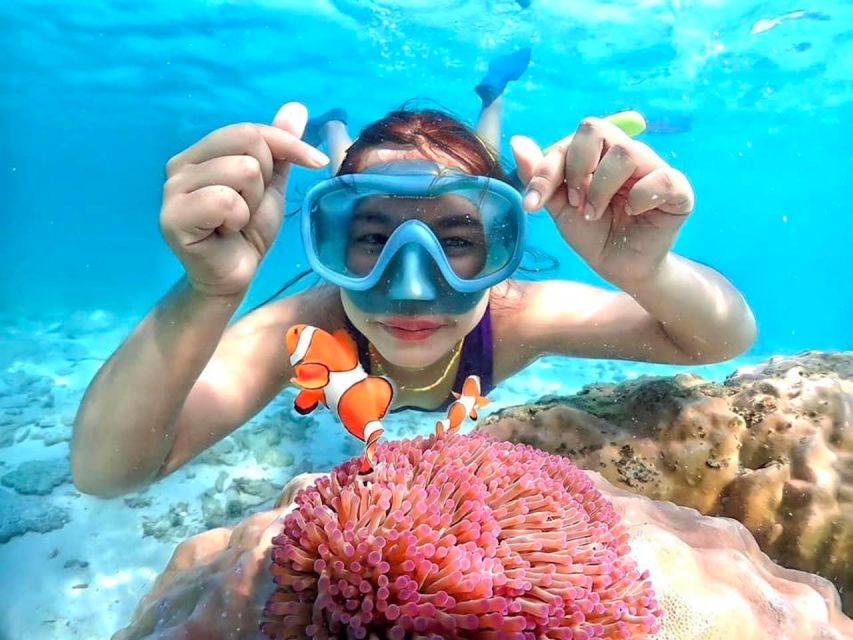 From Pattaya: Private Speedboat to Nemo Island With Snorkel - Key Points