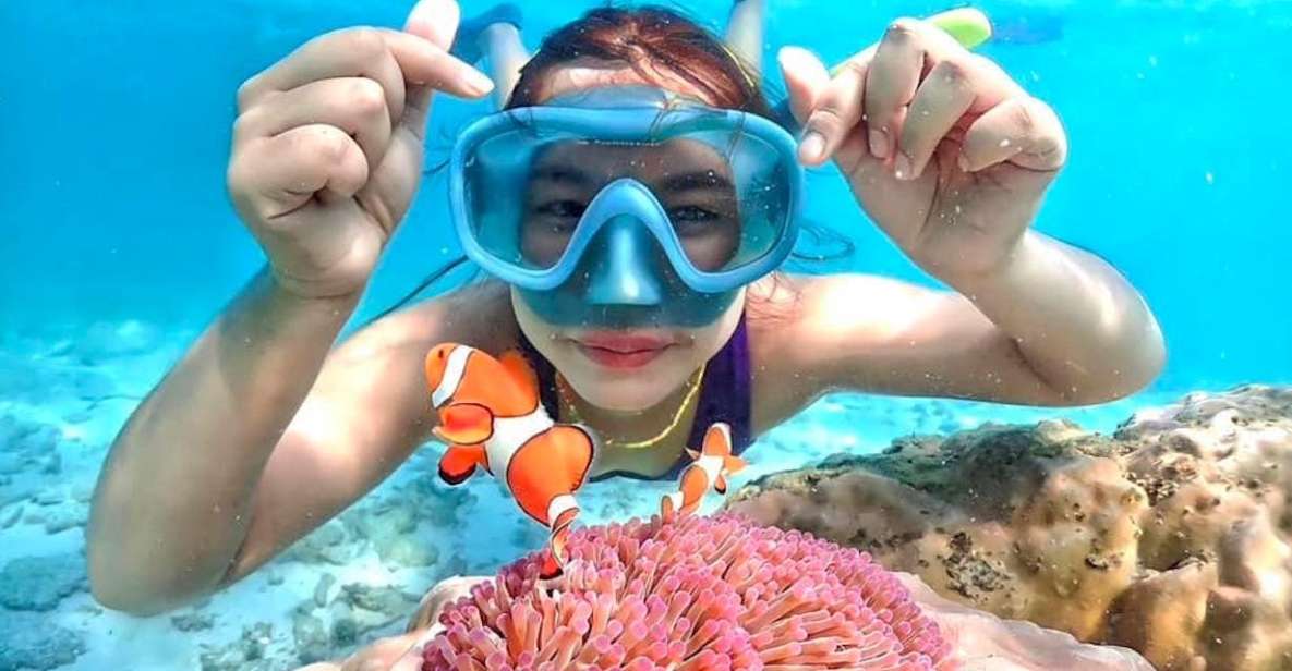 From Pattaya: Private Speedboat to Nemo Island With Snorkel - Inclusions and Exclusions