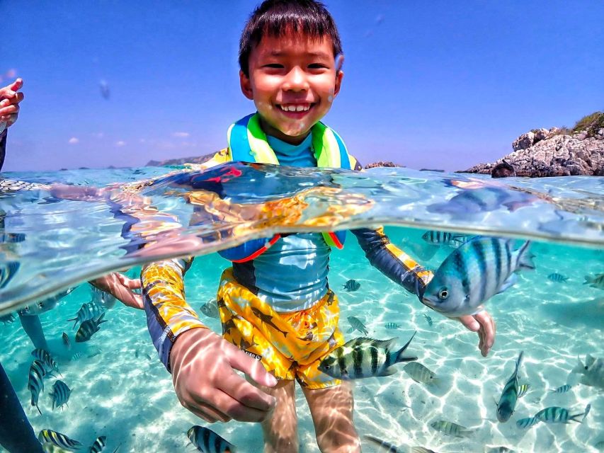 From Pattaya: Private Speedboat to Nemo Island With Snorkel - Scheduling and Conditions