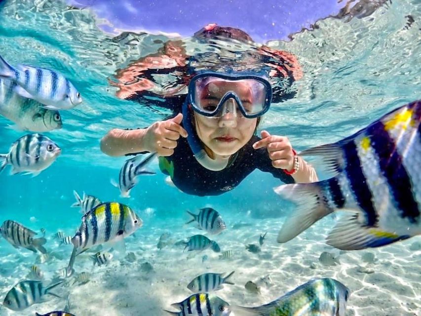 From Pattaya: Private Speedboat to Nemo Island With Snorkel - Suitability and Restrictions