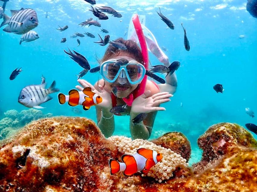 From Pattaya: Private Speedboat to Nemo Island With Snorkel - Snorkeling and Swimming