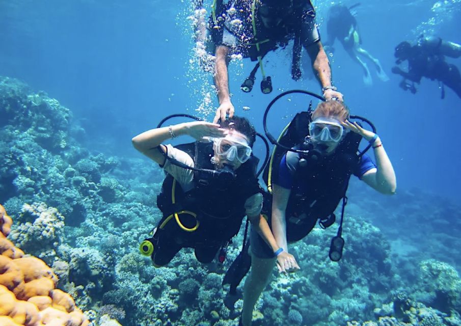 From Pattaya: Snorkeling or Beginner Scuba Diving Tour - Exclusions and Restrictions