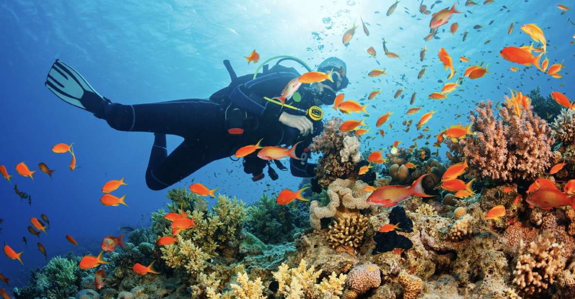 From Pattaya: Snorkeling or Beginner Scuba Diving Tour - Relaxing Lunch on Board