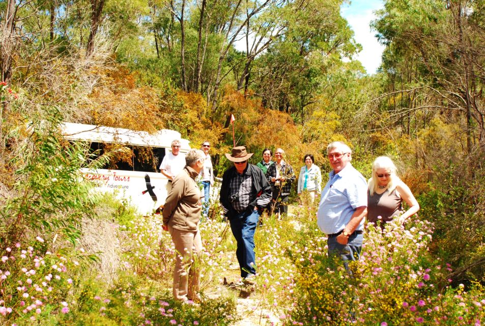 From Pemberton: Half-Day Beach and Forest Eco Adventure - Key Points