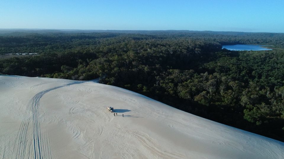 From Pemberton: Half-Day Beach and Forest Eco Adventure - Tour Highlights