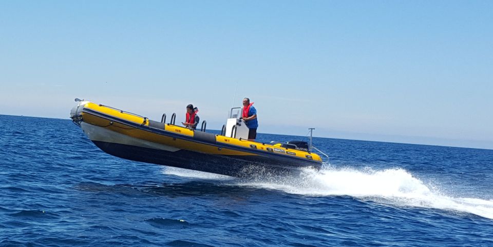 From Peniche: 1-Hour Cabo Carvoeiro Boat Tour - Customer Ratings