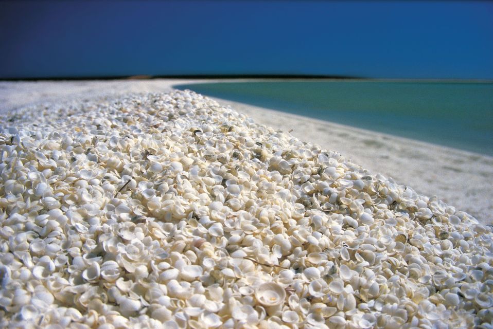 From Perth: 4 Day Outback & Coastal Tour With German Guide - Important Information